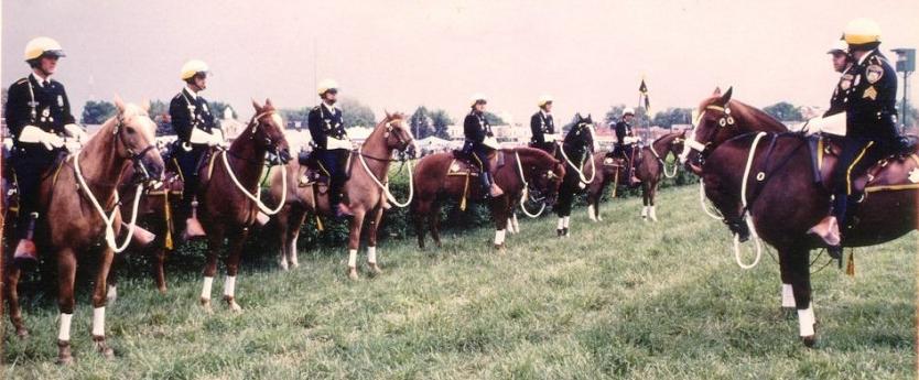 1526574 1092603467422973 103934876 n