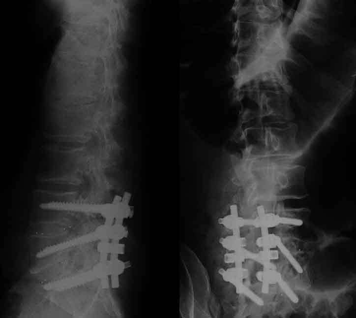 11755228 10205385096530345 9125277156678544945 n