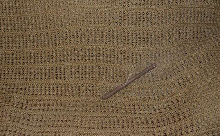 DSC5242