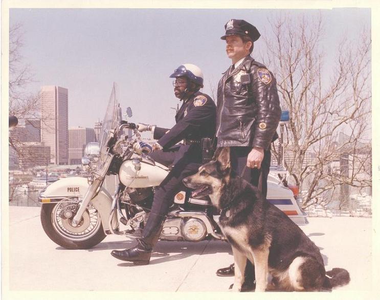 Motor K9 1981