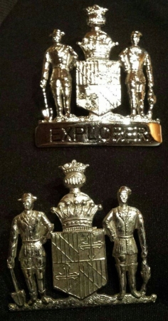 explorer crossing guard